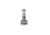 RAYMARINE Tiller Bolt with Nut