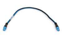 RAYMARINE Seatalk NG Backbone Cable 400ММ