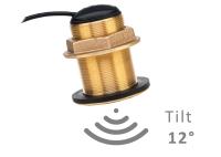 RAYMARINE CPT-S HIGH CHIRP Bronze Thru-Hull Transducer / 12 degree tilt angle