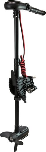 Haswing Protruar Genius  55Lbs / 12v / 80 см