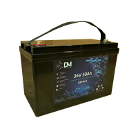 Lifepo4 36 В 50 Ач Аккумулятор DM