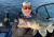 Автоматический ротатор PROBAITS