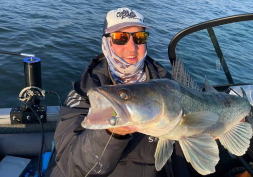 Автоматический ротатор PROBAITS