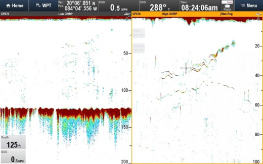 Raymarine CP570