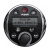 Lowrance SONICHUB FUSION REMOTE (000-10561-001)