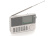 SANGEAN ATS 909X2 Shortwave Radio / white