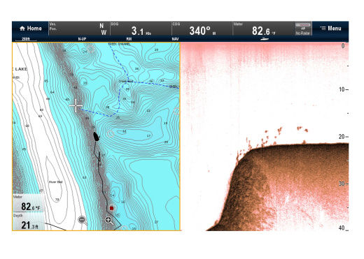 RAYMARINE Downvision Sonar Module CP100