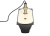 GARMIN GT21-TH Through-Hull Transducer