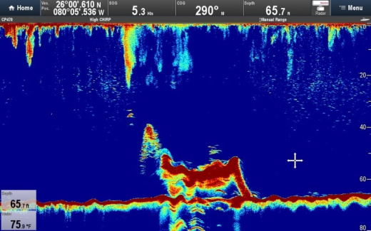 Raymarine CP470