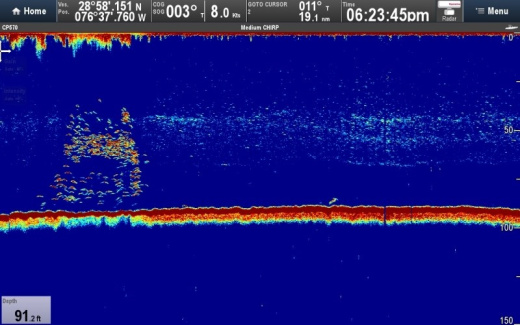 Raymarine CP570