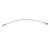 GLOMEX Adapter Cable SMB Female to F Female / 400 mm