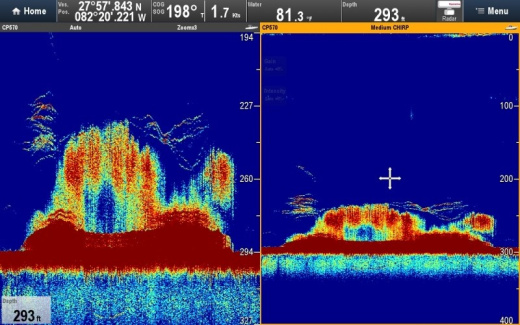 Raymarine CP570