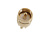 SHAKESPEARE PL-259 Connector, RG-8X or RG-58