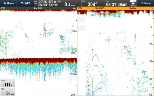 Raymarine CP570