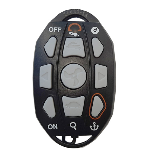 Haswing Wireless Remote Controller for GPS