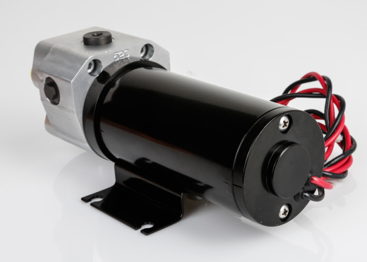 RAYMARINE Pump Unit for Autopilot / Type 2 / 12 V