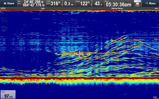 Raymarine CP570