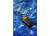 ICOM IC-M37E Handheld VHF Radio