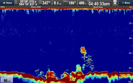 Raymarine CP570