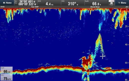 Raymarine CP470