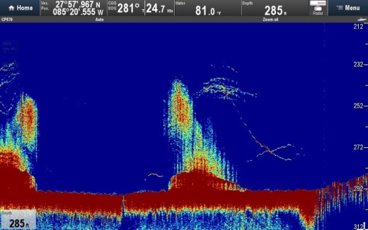 Raymarine CP570