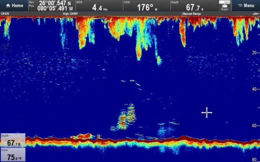 Raymarine CP470