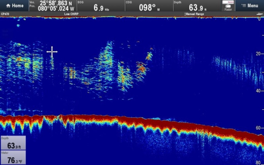 Raymarine CP470