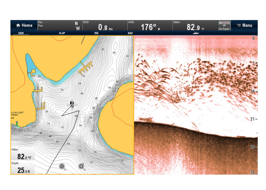 RAYMARINE Downvision Sonar Module CP100