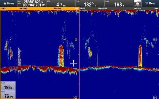 Raymarine CP470