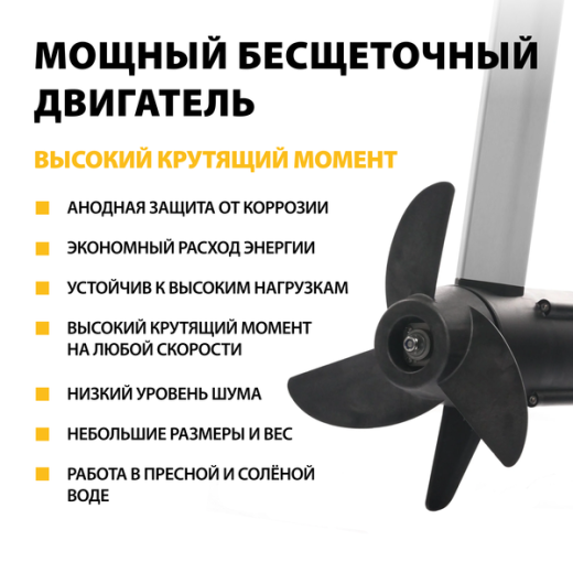 Haswing Ventura F 5.0 / 160Lbs / 24v / 80 см