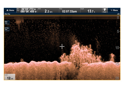 RAYMARINE Downvision Sonar Module CP100